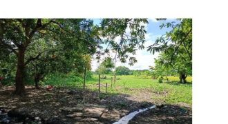 Foreclosed Residential Lot in Cabatuan, Isabela