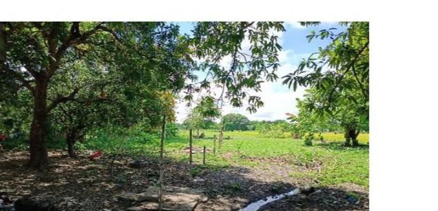 Foreclosed Residential Lot in Cabatuan, Isabela (Bangko Sentral ng Pilipinas)