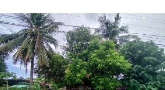 Foreclosed House and Lot in Alicia, Isabela · Lot 39 Block 6 (Bangko Sentral ng Pilipinas)