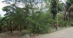 Foreclosed Residential Lot in Manaoag, Pangasinan (Bangko Sentral ng Pilipinas)
