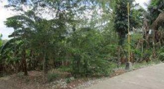 Foreclosed Residential Lot in Manaoag, Pangasinan (Bangko Sentral ng Pilipinas)