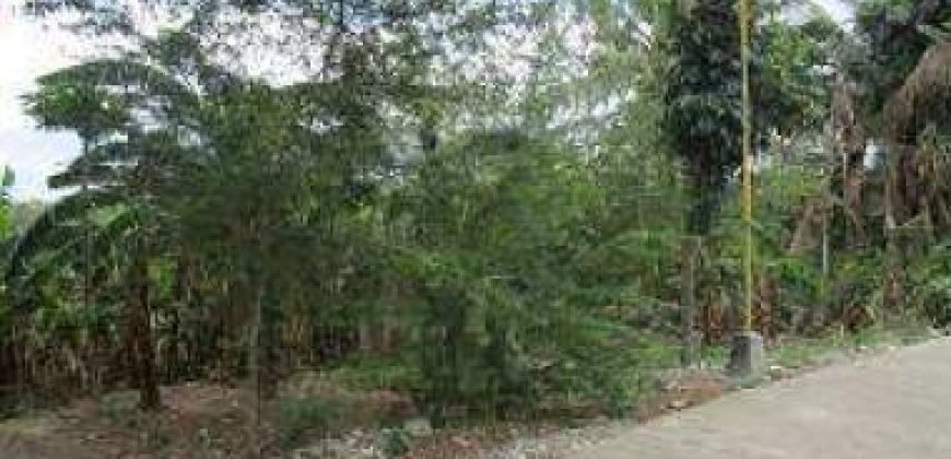 Foreclosed Residential Lot in Manaoag, Pangasinan (Bangko Sentral ng Pilipinas)