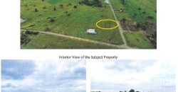 Foreclosed Residential Lot in Cabanatuan City, Nueva Ecija · Lot P (Bangko Sentral ng Pilipinas)