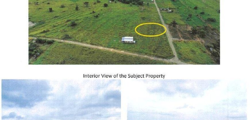 Foreclosed Residential Lot in Cabanatuan City, Nueva Ecija · Lot P (Bangko Sentral ng Pilipinas)
