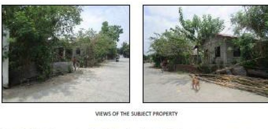 Foreclosed House and Lot in Laoac, Pangasinan (Bangko Sentral ng Pilipinas) #4