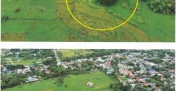 Foreclosed Residential Lot in Cabanatuan City, Nueva Ecija · Lot 950-New-B-2-A-4 (Bangko Sentral ng Pilipinas)