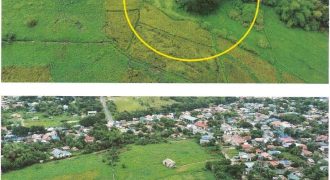 Foreclosed Residential Lot in Cabanatuan City