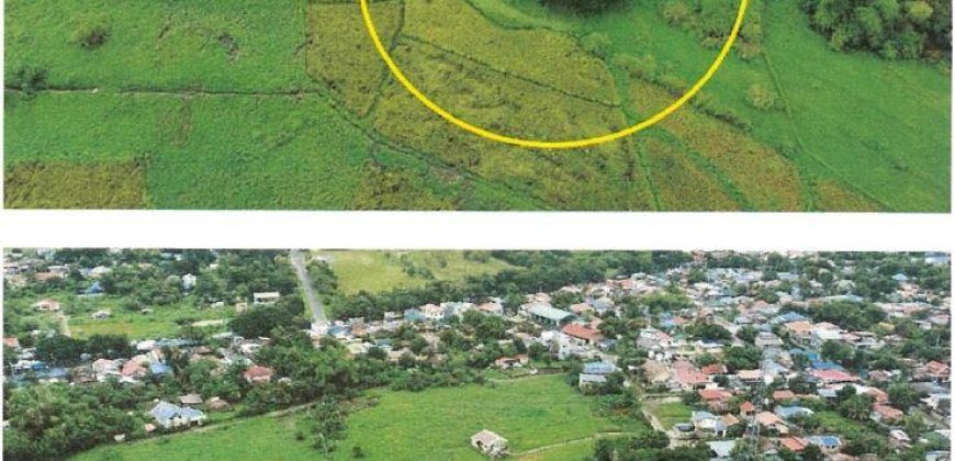 Foreclosed Residential Lot in Cabanatuan City, Nueva Ecija · Lot 950-New-B-2-A-4 (Bangko Sentral ng Pilipinas)