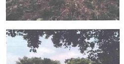 Foreclosed Property in Lemery, Iloilo · Lot 17 (Bangko Sentral ng Pilipinas)