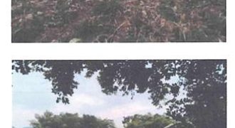 Foreclosed Property in Lemery, Iloilo · Lot 17 (Bangko Sentral ng Pilipinas)