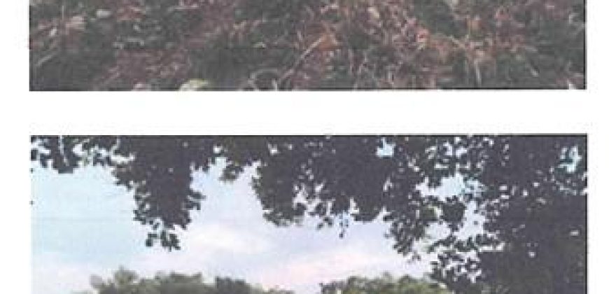 Foreclosed Property in Lemery, Iloilo · Lot 17 (Bangko Sentral ng Pilipinas)