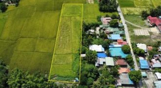 Foreclosed Residential Lot in General Mamerto Natividad, Nueva Ecija