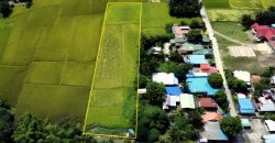 Foreclosed Residential Lot in General Mamerto Natividad, Nueva Ecija