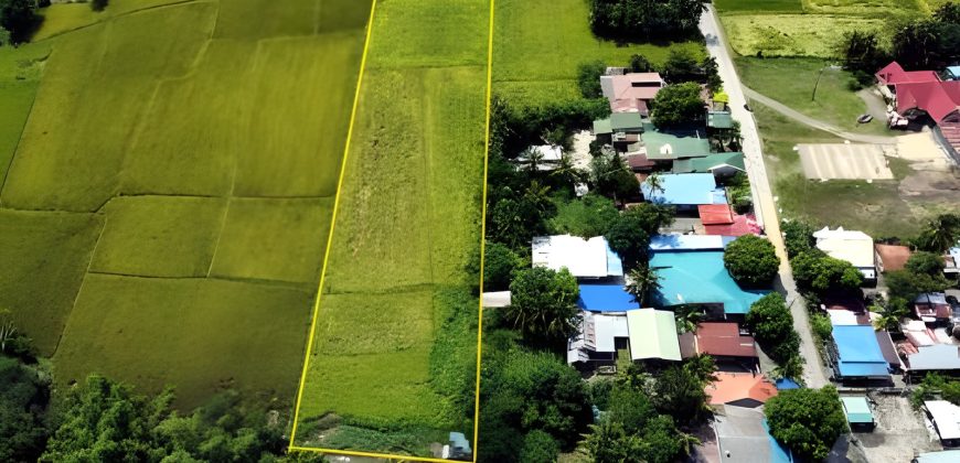 Foreclosed Residential Lot in General Mamerto Natividad, Nueva Ecija