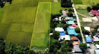 Foreclosed Residential Lot in General Mamerto Natividad, Nueva Ecija