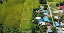 Foreclosed Residential Lot in General Mamerto Natividad, Nueva Ecija, Luzon #6