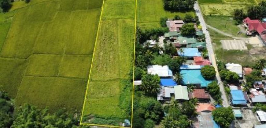 Foreclosed Residential Lot in General Mamerto Natividad, Nueva Ecija, Luzon #6