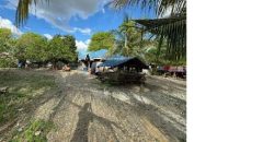 Foreclosed House and Lot in Angadanan, Isabela (Bangko Sentral ng Pilipinas)