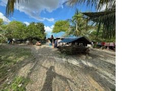 Foreclosed House and Lot in Angadanan, Isabela (Bangko Sentral ng Pilipinas)