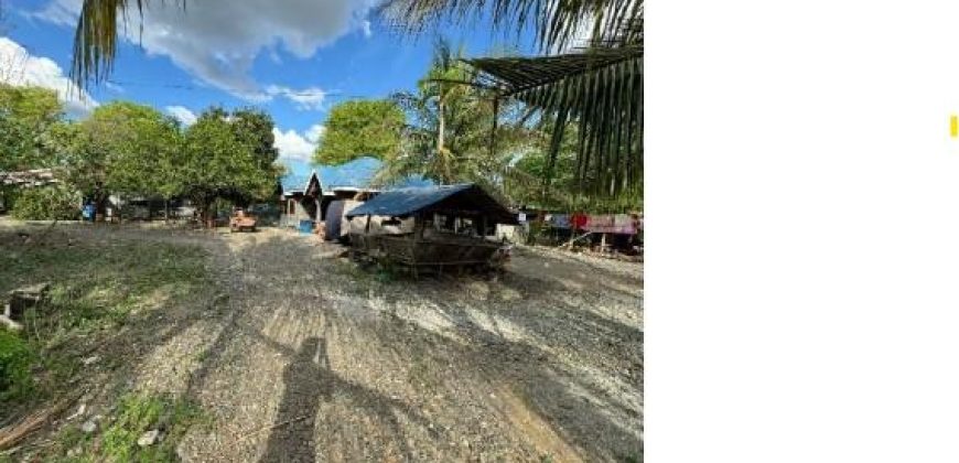 Foreclosed House and Lot in Angadanan, Isabela (Bangko Sentral ng Pilipinas)