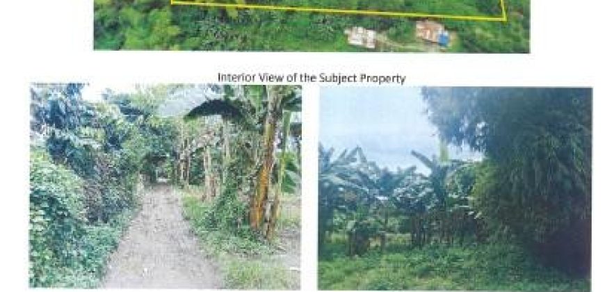 Foreclosed Agricultural Lot in Jaen, Nueva Ecija (Bangko Sentral ng Pilipinas)
