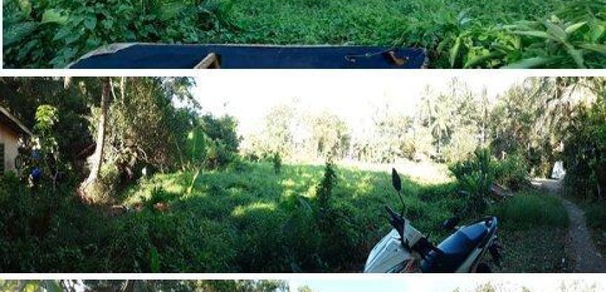 Foreclosed Residential Lot in Butuan City, Agusan del Norte, Mindanao #3