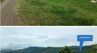 Foreclosed Property in Jabonga, Agusan del Norte (Bangko Sentral ng Pilipinas)