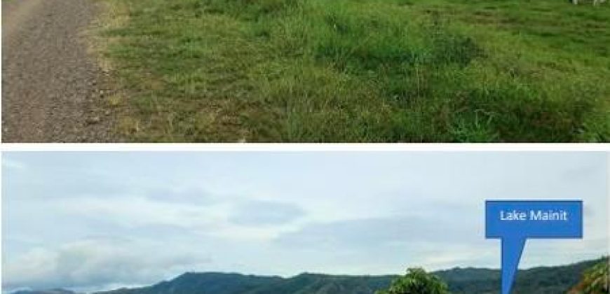 Foreclosed Property in Jabonga, Agusan del Norte (Bangko Sentral ng Pilipinas)