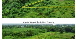 Foreclosed Property in Cabanatuan City, Nueva Ecija · Lot 213 (Bangko Sentral ng Pilipinas)
