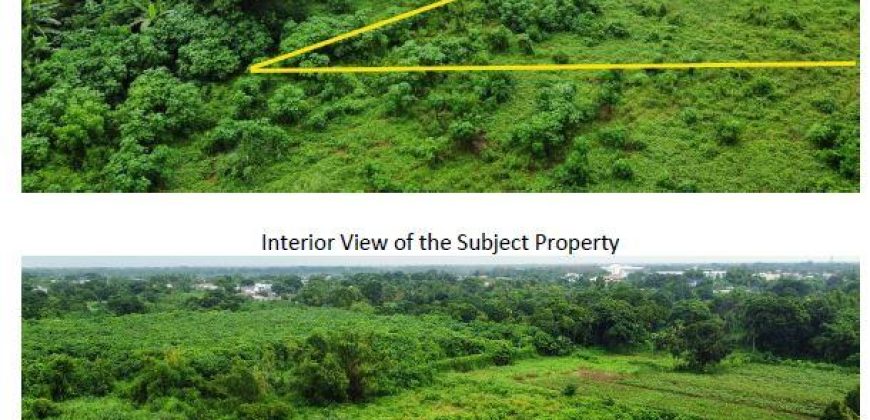 Foreclosed Property in Cabanatuan City, Nueva Ecija · Lot 213 (Bangko Sentral ng Pilipinas)