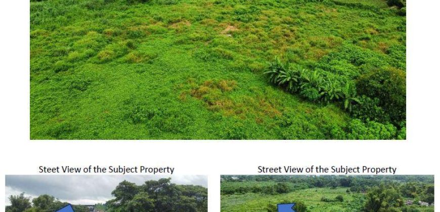 Foreclosed Residential Lot in Cabanatuan City, Nueva Ecija · Lot 231-C-7 (Bangko Sentral ng Pilipinas)
