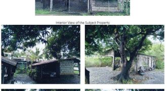 Foreclosed House and Lot in Cabanatuan City