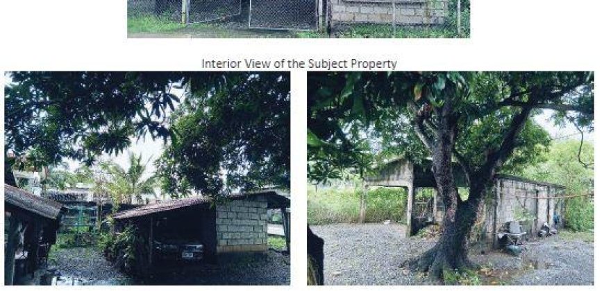 Foreclosed House and Lot in Cabanatuan City