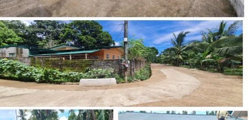 Foreclosed House and Lot in Mambajao, Camiguin (Bangko Sentral ng Pilipinas)