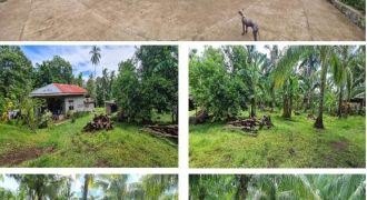 Foreclosed Property in Mambajao, Camiguin