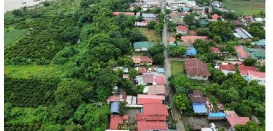Foreclosed House and Lot in Cabanatuan City, Nueva Ecija, Luzon #19
