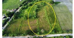 Foreclosed Residential Lot in San Leonardo, Nueva Ecija