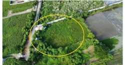 Foreclosed Residential Lot in San Leonardo, Nueva Ecija · Lot 1 Block 11 (Bangko Sentral ng Pilipinas)