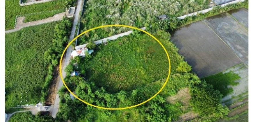 Foreclosed Residential Lot in San Leonardo, Nueva Ecija · Lot 1 Block 11 (Bangko Sentral ng Pilipinas)