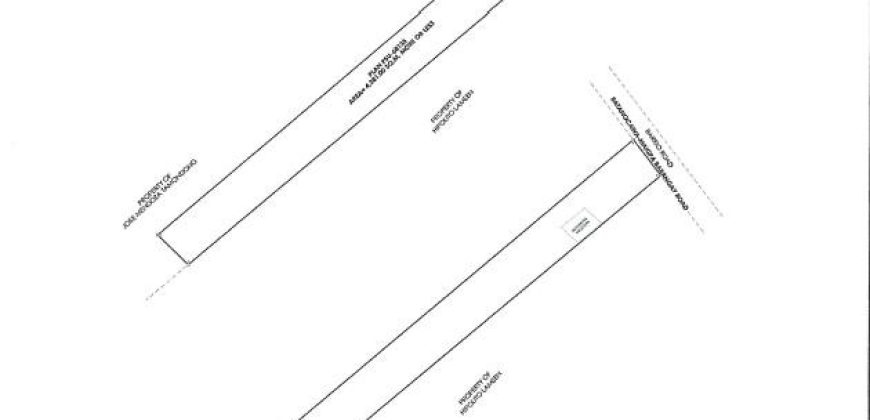 Foreclosed House and Lot in Bayambang, Pangasinan (Bangko Sentral ng Pilipinas)