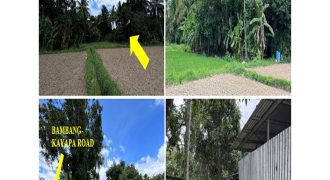 Foreclosed Residential Lot in Bambang, Nueva Vizcaya – Ext Provincial Road (Bangko Sentral ng Pilipinas)