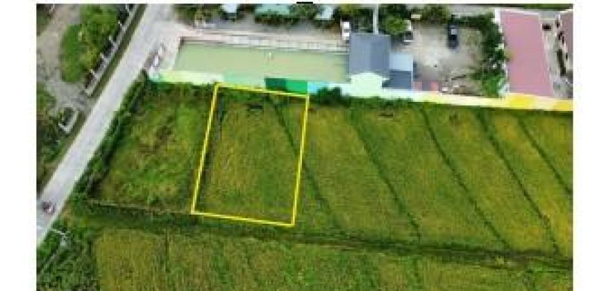 Foreclosed Property in Santa Rosa, Nueva Ecija · Lot 1-M (Bangko Sentral ng Pilipinas)