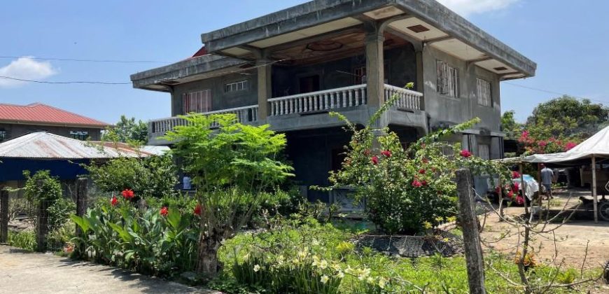 Foreclosed House and Lot in Aurora, Isabela · Lot 2514-D (Bangko Sentral ng Pilipinas)