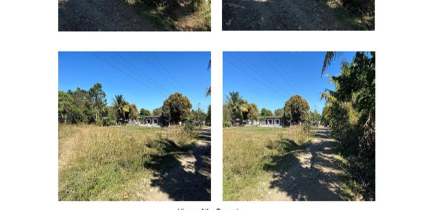 Foreclosed Residential Lot in Ramon, Isabela (Bangko Sentral ng Pilipinas)