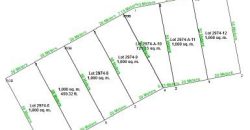 Foreclosed Property in Cuyapo, Nueva Ecija · Lot 2974-A-8 (Bangko Sentral ng Pilipinas)