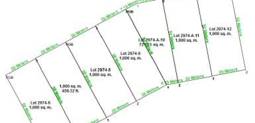 Foreclosed Property in Cuyapo, Nueva Ecija · Lot 2974-A-8 (Bangko Sentral ng Pilipinas)