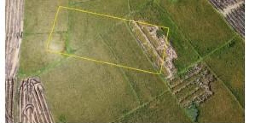 Foreclosed Property in Cuyapo, Nueva Ecija · Lot 2974-A-11 (Bangko Sentral ng Pilipinas)