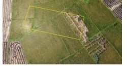 Foreclosed Property in Cuyapo, Nueva Ecija · Lot 2974-A-61 (Bangko Sentral ng Pilipinas)