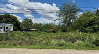 Foreclosed House and Lot in Angadanan, Isabela – Barangay Road (Bangko Sentral ng Pilipinas)