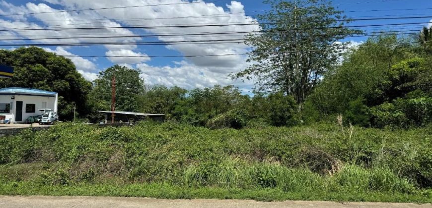 Foreclosed House and Lot in Angadanan, Isabela